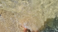 Kristallklares Wasser.